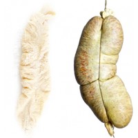 Кудрявка свиная калибр 64+ мм(10 метров)