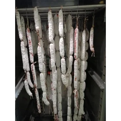 Благородна біла пліснява для сиров'ялених виробів "MOLD 600"
